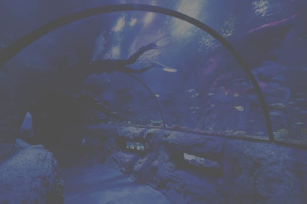 SEA LIFE Aquarium San Antonio